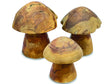 Root Mushrooms Set Of 3