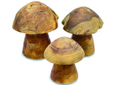 Root Mushrooms Set Of 3