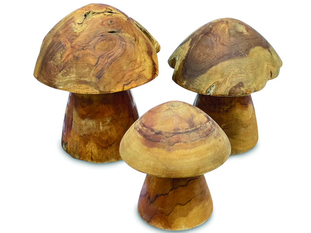 Root Mushrooms Set Of 3