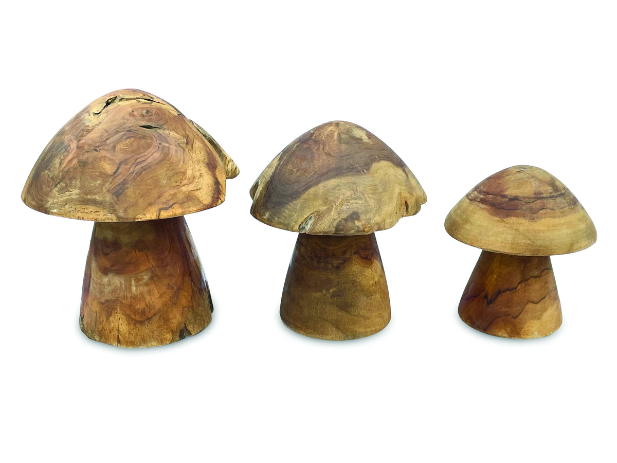 Root Mushrooms Set Of 3
