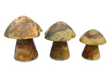 Root Mushrooms Set Of 3