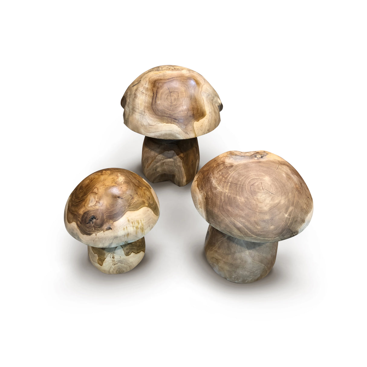 Root Mushrooms Set Of 3