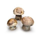 Root Mushrooms Set Of 3