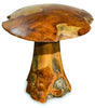 teak root mushroom extra large