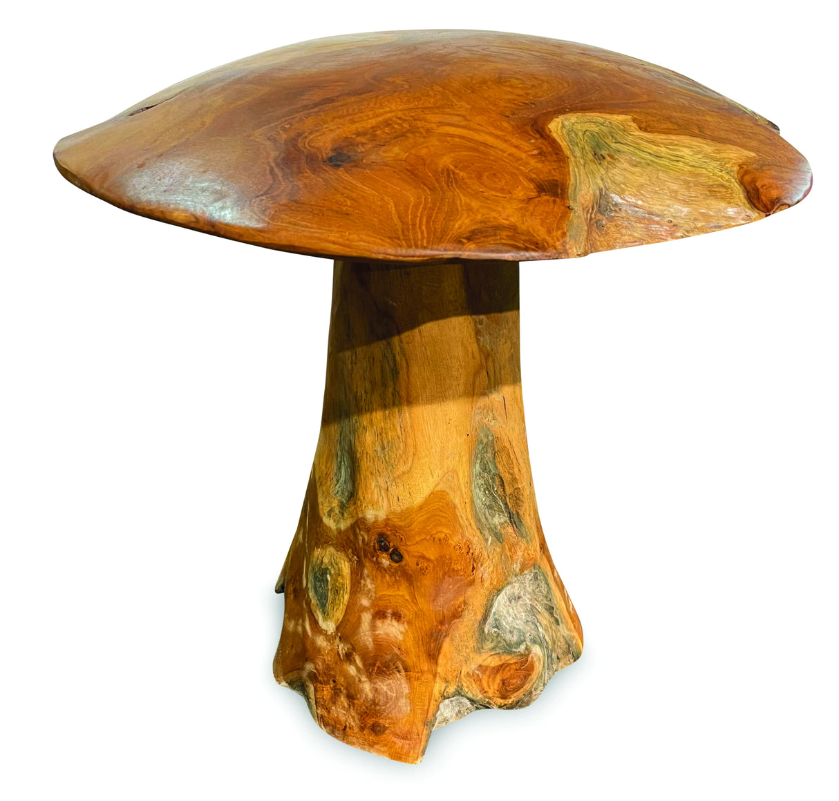 teak root mushroom extra large