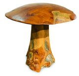 teak root mushroom extra large