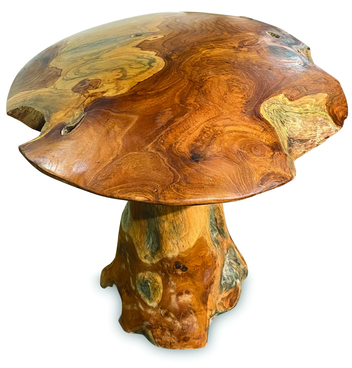 teak root mushroom extra large