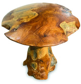 teak root mushroom extra large