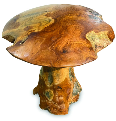 teak root mushroom extra large