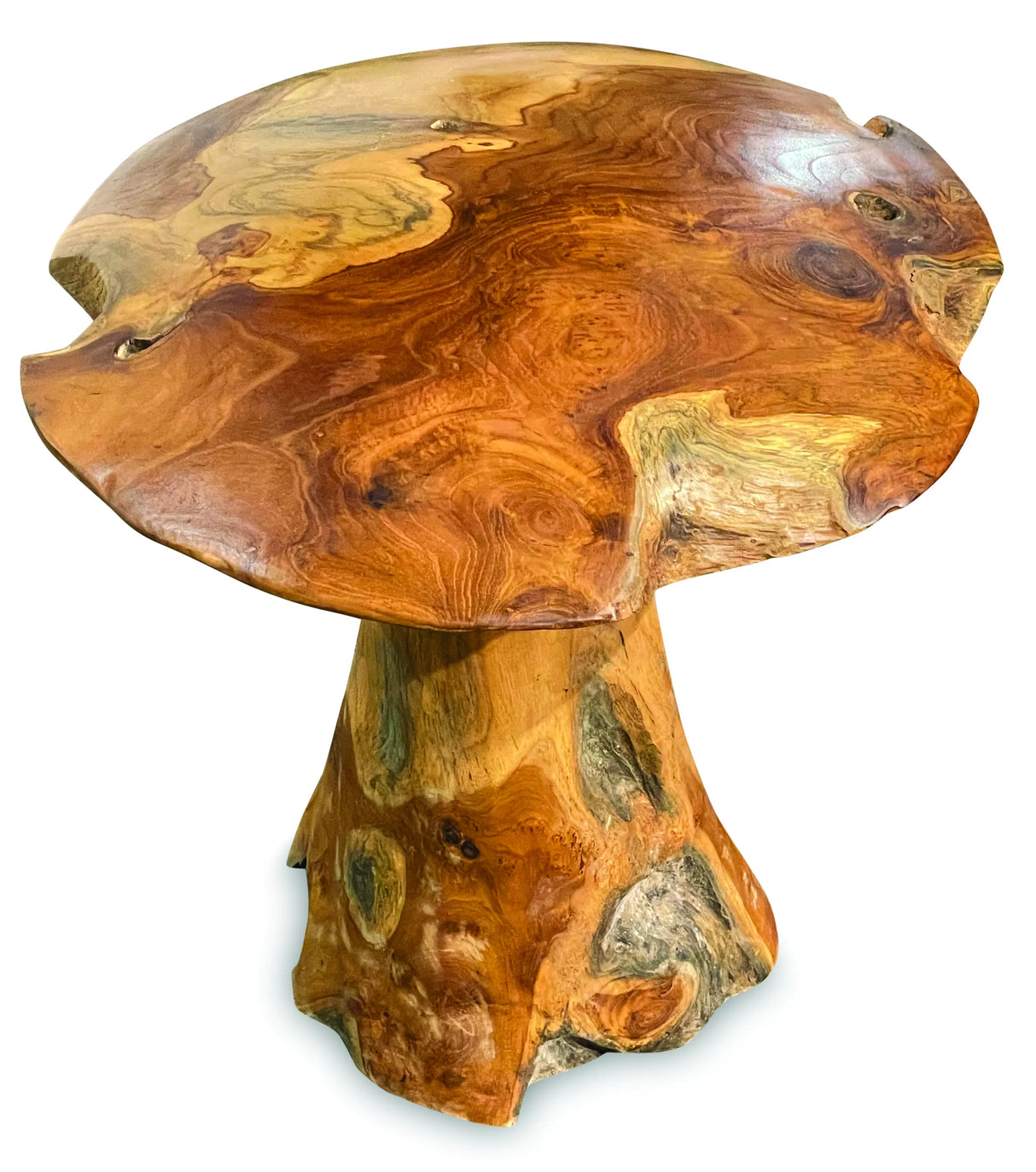 teak root mushroom extra large
