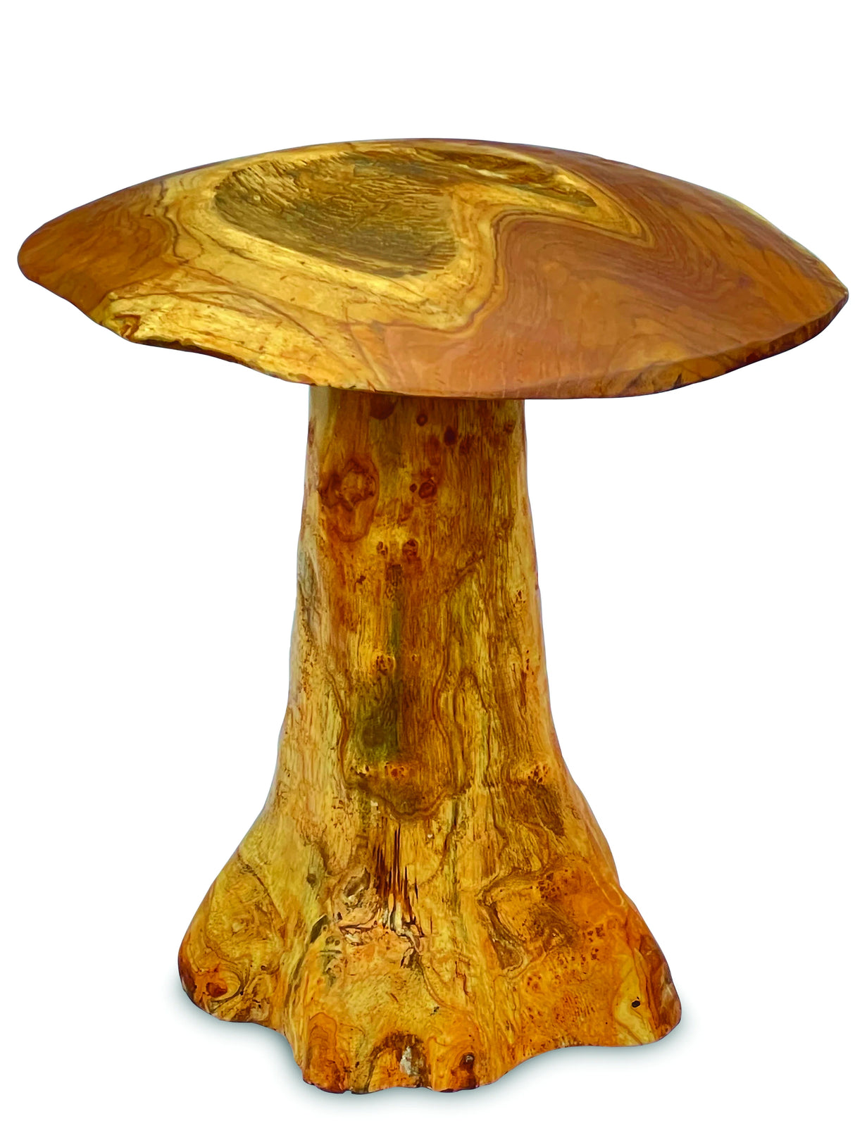 teak root mushroom extra large
