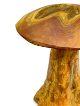 teak root mushroom extra large