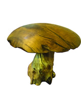 teak root mushroom extra large