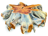 root round spider coffee table large