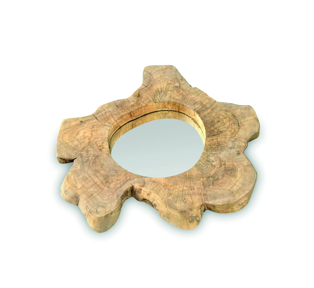 Teak Tree Slice Wall Mirror Small