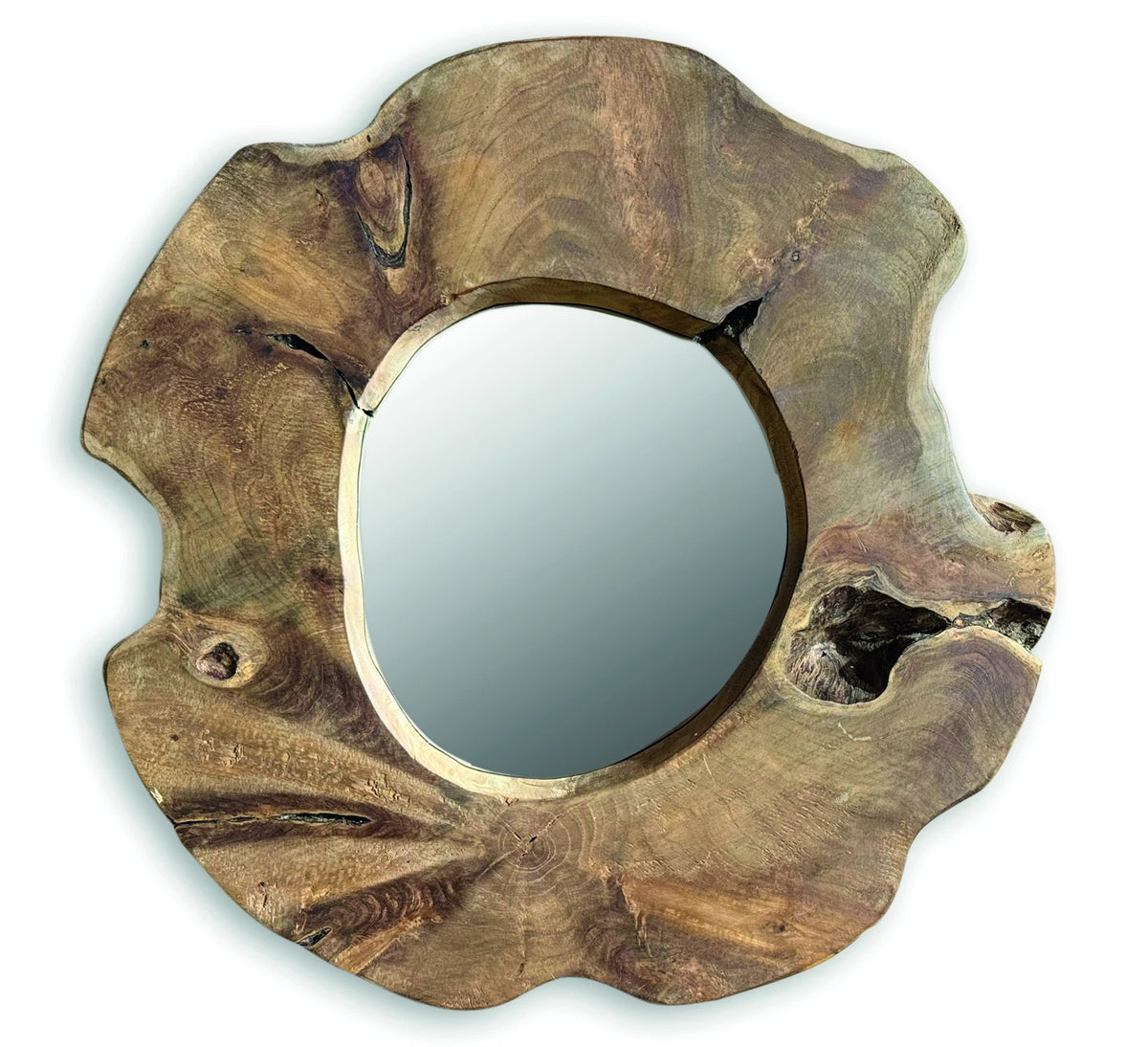 Teak Tree Slice Wall Mirror Medium