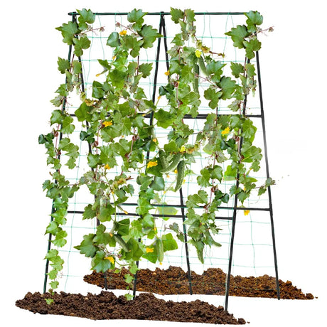 A-Frame Garden Trellis for Climbing Plants with Netting Vertical Support with Rustproof PE Coated Metal Posts
