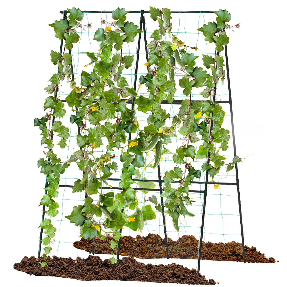 A-Frame Garden Trellis for Climbing Plants with Netting Vertical Support with Rustproof PE Coated Metal Posts