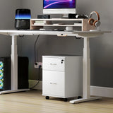 HOMCOM Two Drawer Lockable Filing Cabinet - White Wood Grain