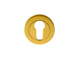 ESCUTCHEON - EURO PROFILE ON CONCEALED FIX ROUND ROSE - POLISHED BRASS - 51MM - EACH