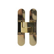 AGB Eclipse Fire Rated Adjustable Concealed Hinge - Polished Brass - Each