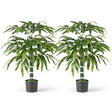 100 CM Artificial Bamboo Tree Set of 2 with Plastic Nursery Pot and Adjustable Branches