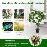 Artificial Hydrangea Tree with 11 White Flowers-1 Piece
