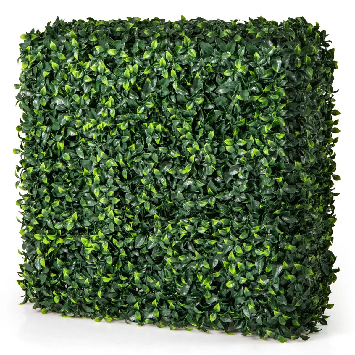 Artificial Boxwood Privacy Fence with Realistic PE Leave for Living Room and Patio