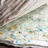 Lokta Craft & Wrapping Paper 51x76cm  Grass