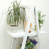Folding Wooden A-Frame Shelf  Whitewash