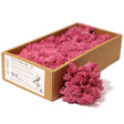 Decoration Reindeer Moss - Pink - (approx 500gm)