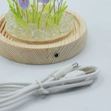 Floral Glow Garden Dome - 20 Multi Tulips - LED USB