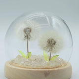 Floral Glow Garden Dome - 2 Dandelions - LED USB