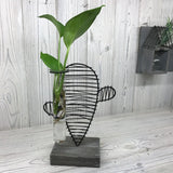 Hydroponic Home Dcor - Cactus & Lab Pot