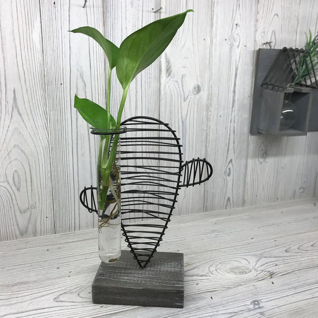 Hydroponic Home Dcor - Cactus & Lab Pot