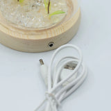 Floral Glow Garden Dome - 2 Dandelions - LED USB
