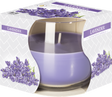 Scented Glass Jar Candle - Lavender