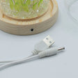 Floral Glow Garden Dome - 20 Tulips - LED USB