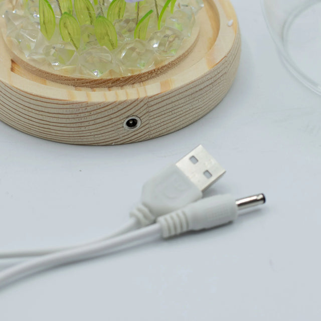 Floral Glow Garden Dome - 20 Tulips - LED USB