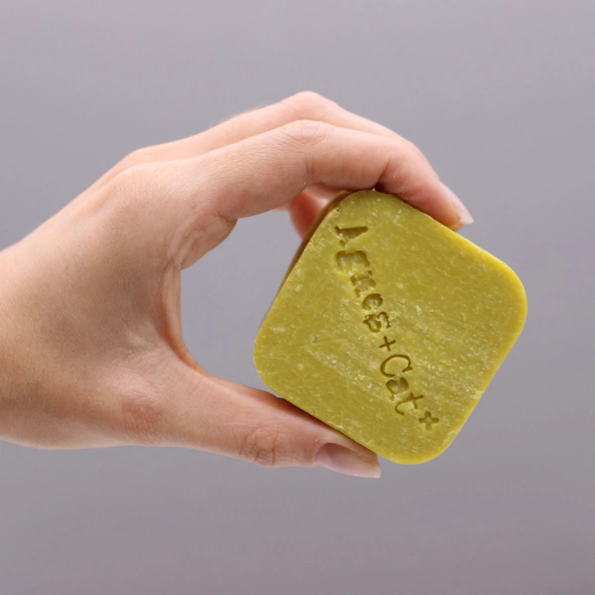 Agnes + Cat Provance Solid Shampoo