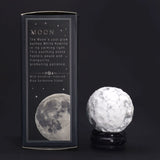 White Howlite Planet on a Sola Goldstone Stand (MOON)