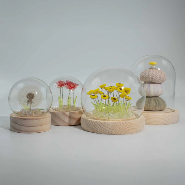 Floral Glow Garden Dome - 2 Dandelions - LED USB