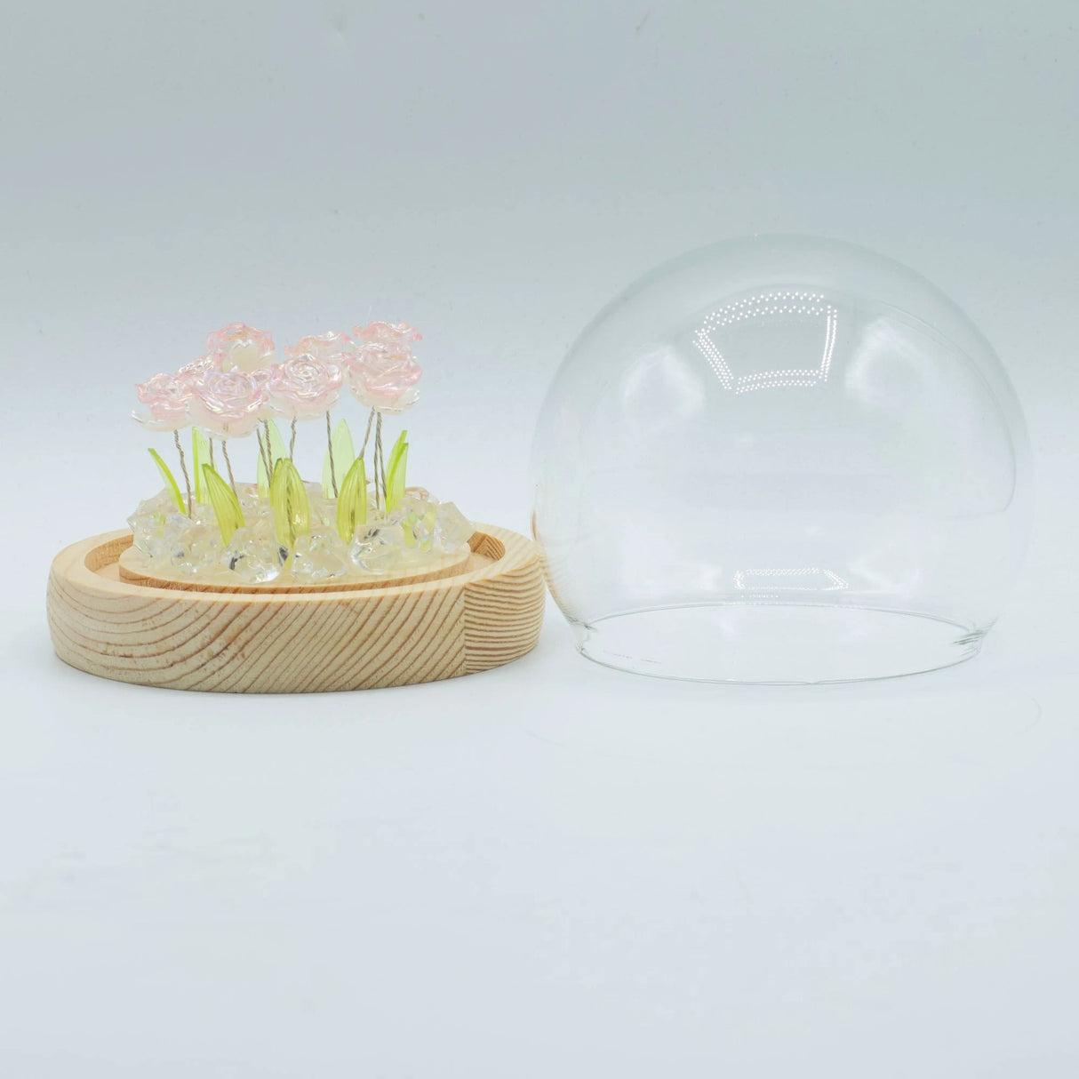 Floral Glow Garden Dome - 10 Pink Roses - LED USB