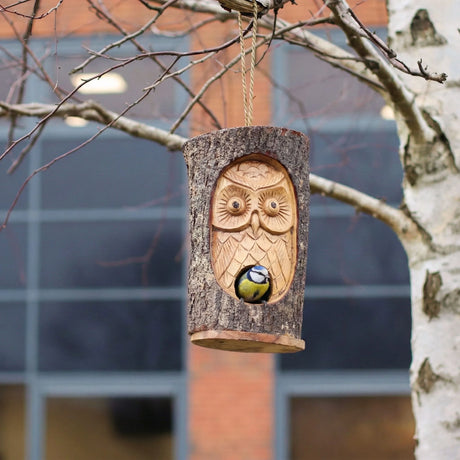 Tree Trunk Face - Bird House - Wise Owl