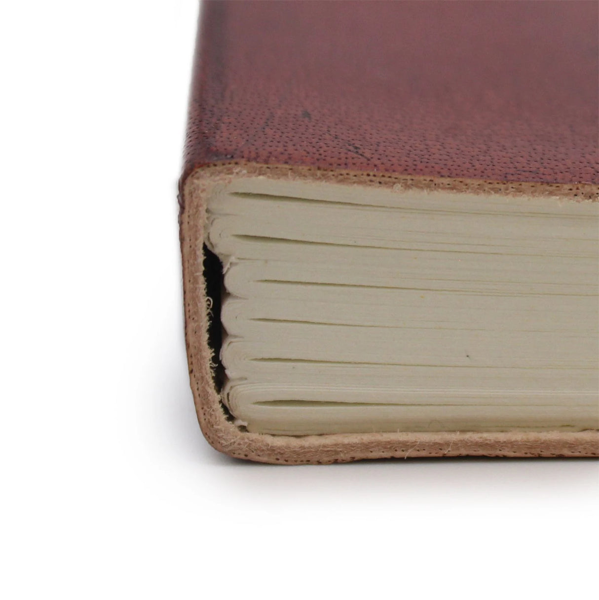 Medium Notebook with strap - Tree of Life