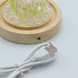 Floral Glow Garden Dome - 10 Pink Roses - LED USB