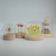 Floral Glow Garden Dome - 3 Sea Urchins - LED USB