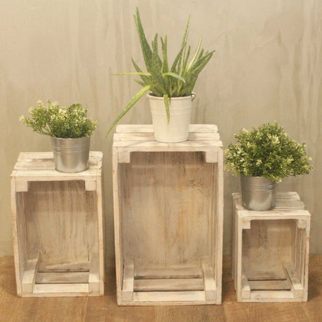 Fruit Box set of 3 - Whitewash