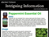 Peppermint Essential Oil Info