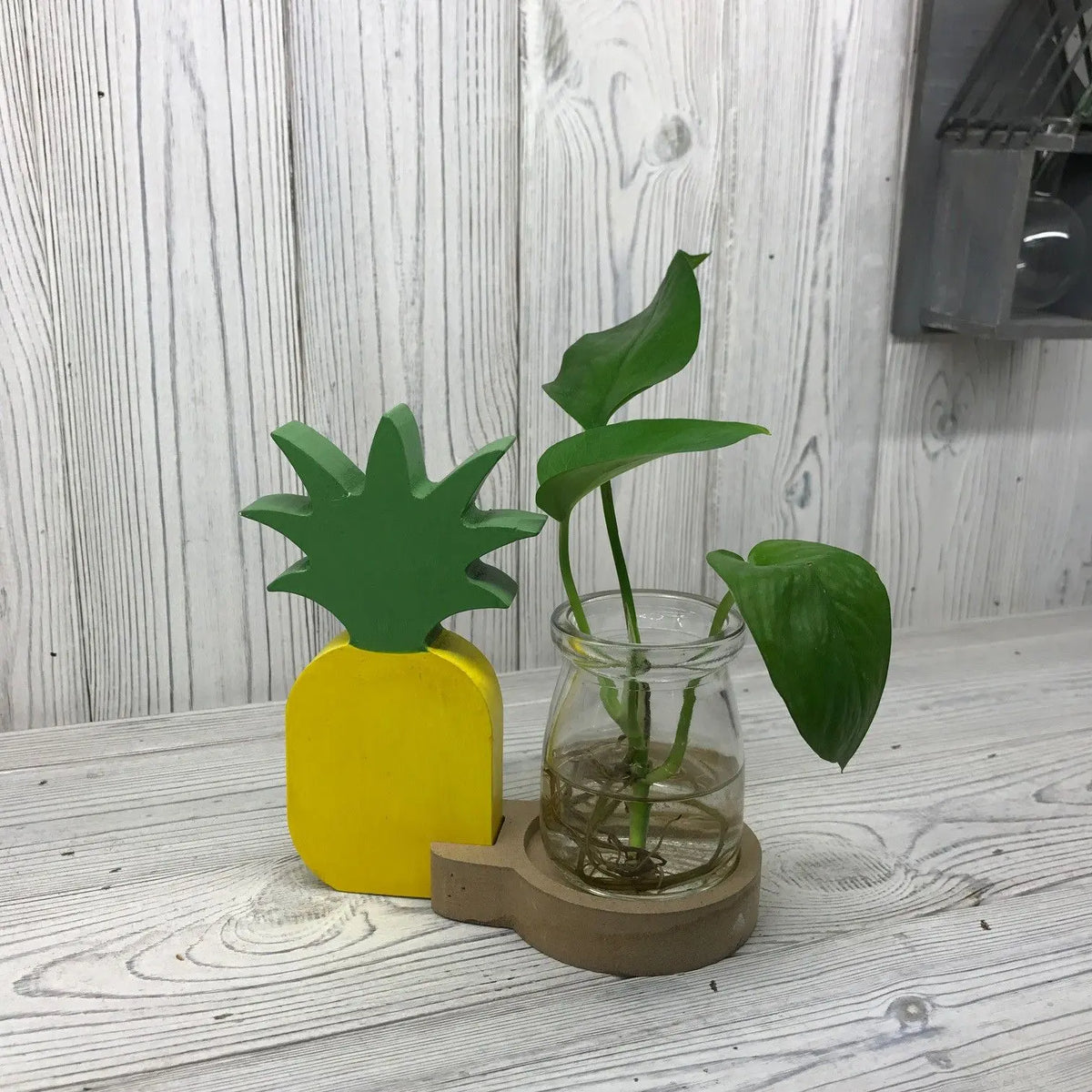 Hydroponic Home Dcor - Pineapple Pot